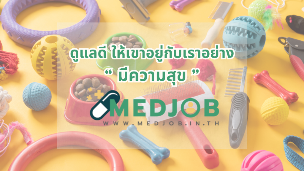 เรื่องน่ารู้ก่อนเข้าวงการ Pet Parents เทรนด์การเลี้ยงสัตว์ เสมือนเป็นสมาชิกในครอบครัว
